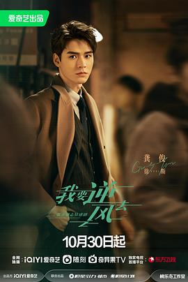 夏邑网站优化推广公司